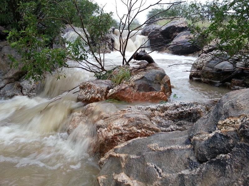 Woodlands Wildlife Estate - Photo 3