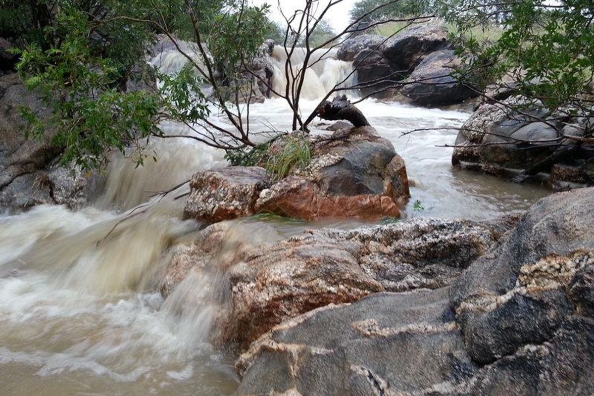 Woodlands Wildlife Estate - Photo 3