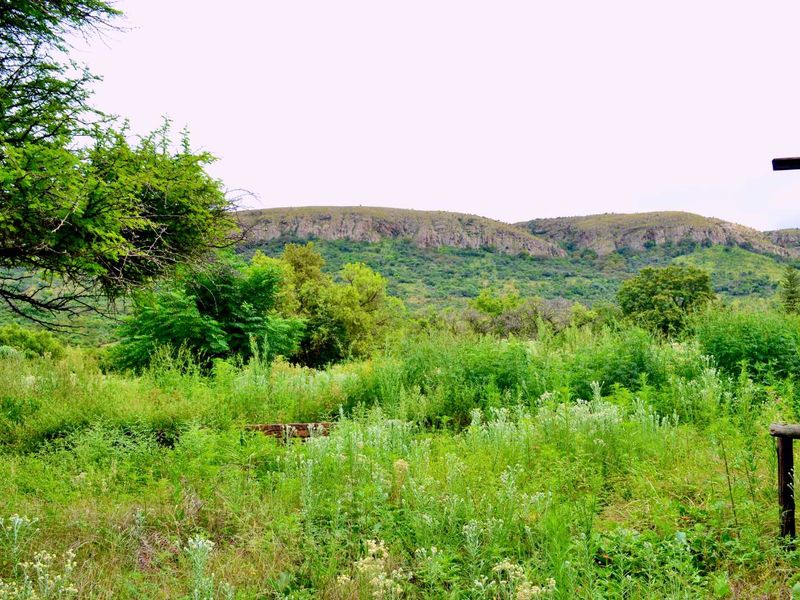 ***7ha Bushveld Property with Equestrian Facilities & Multiple Income Possibilities – Kameeldrift West | Under R3m*** - Photo 8