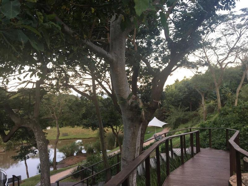 A scenic view of a landscaped garden featuring a wooden walkway, mature trees, and a tranquil pond.