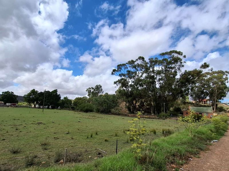 Versatile Property: From Farm to Function Venue! - Photo 6