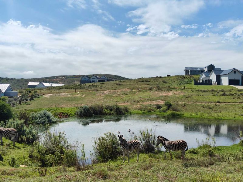 Large family home in Wildlife Estate - Photo 6