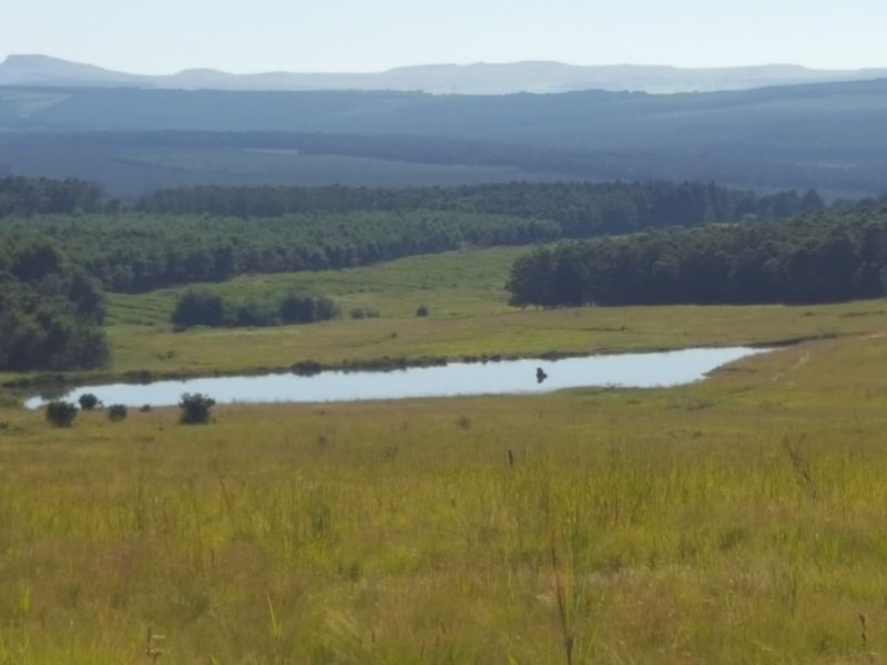 Farm for Sale - Photo 7