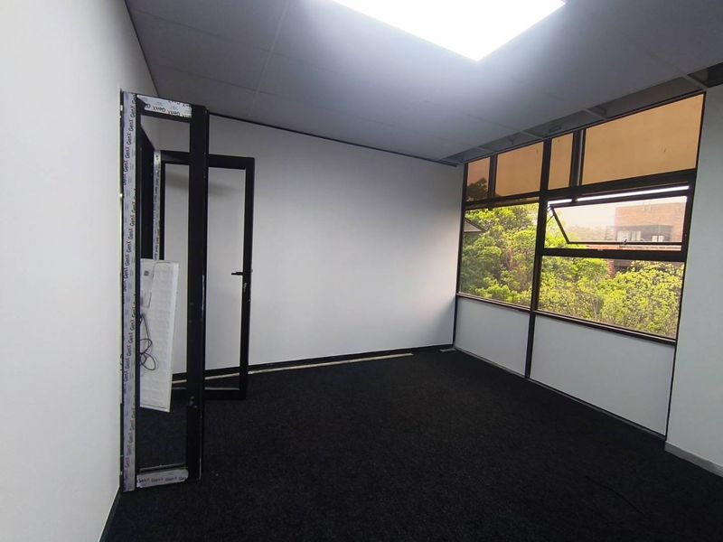 An empty office space featuring large windows, carpeted flooring, and a suspended ceiling, offering a blank canvas for professional workspace customization.