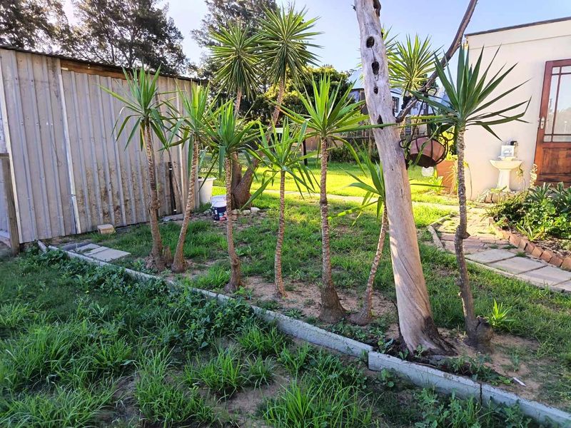 One bedroom garden cottage in Joostenberg Vlakte - Photo 9