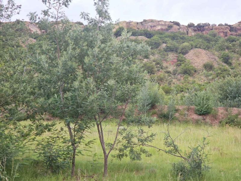 **Discover Your Future Home Site with Stunning Mountain Views** - Photo 8