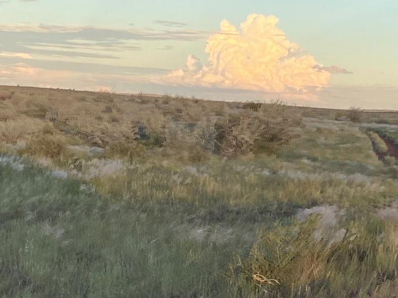 Rural Elegance: 7,749-Hectare Livestock Farm with Comprehensive Improvements - Photo 9