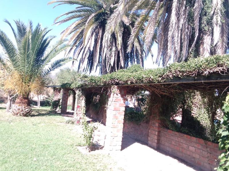 Small Holding for sale - Photo 9