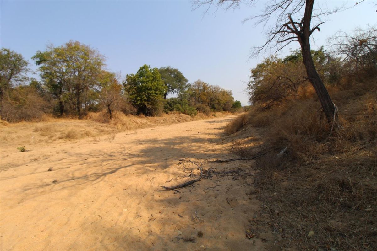 River front stand - Photo 5