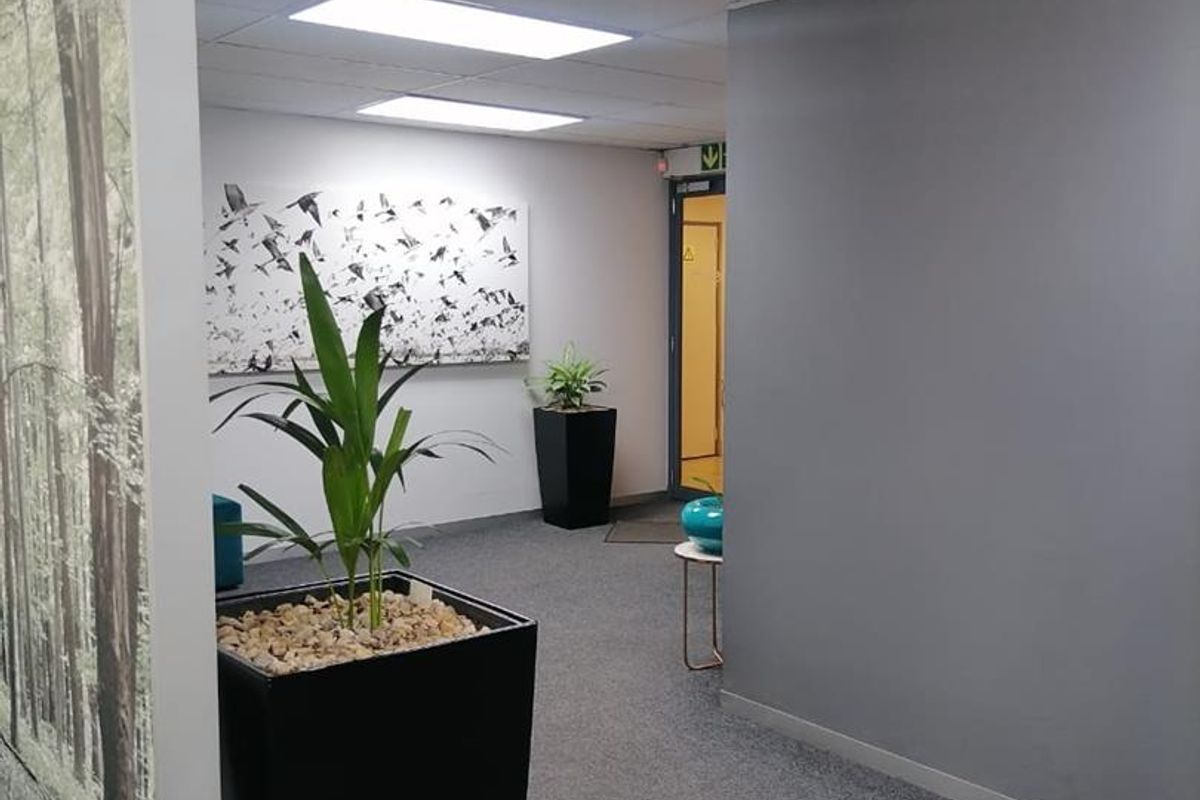 **Spacious Offices Available for Lease** - Photo 3
