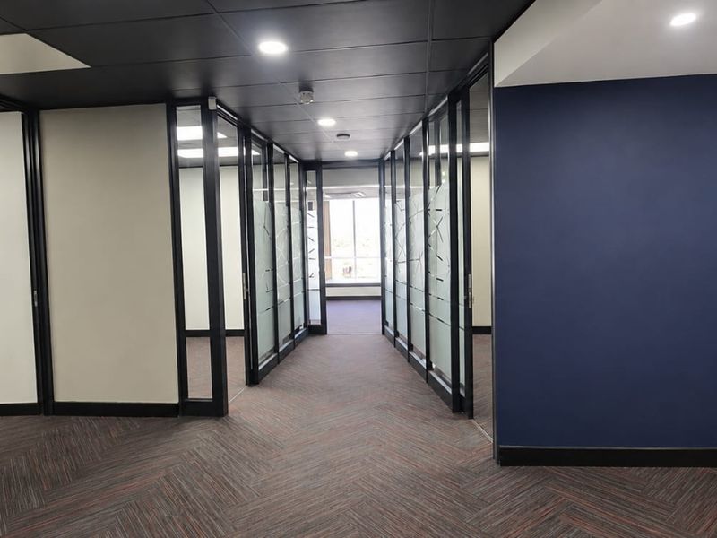 A modern office hallway featuring glass partition walls, a dark suspended ceiling with recessed lighting, and patterned carpet flooring.