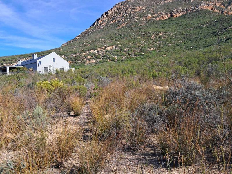 A scenic view of the natural landscape and mountain terrain surrounding the residential property.