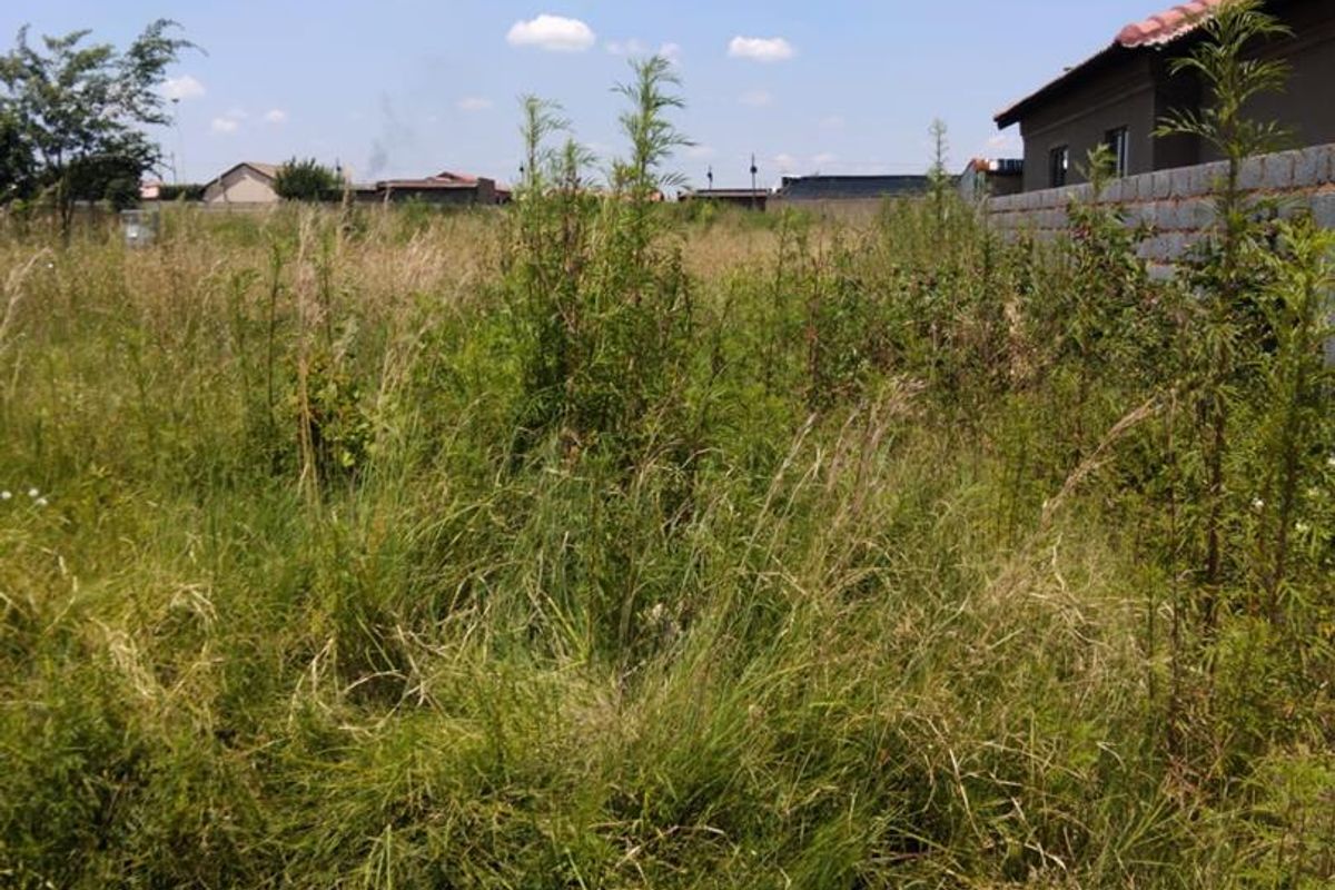 A view of a vacant residential plot featuring overgrown grass and a partial boundary wall.