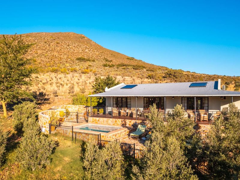 AN INVESTMENT IN PEACE, PURPOSE AND UNPARALLELED BEAUTY - ORGANIC OLIVE FARM FOR SALE - Photo 9