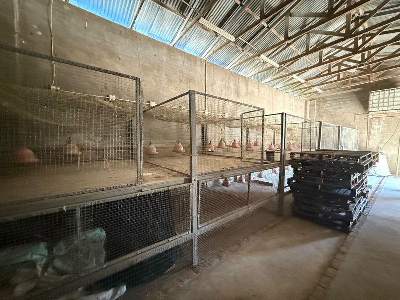 A farm for sales near Okahandja 📍 - Photo 8