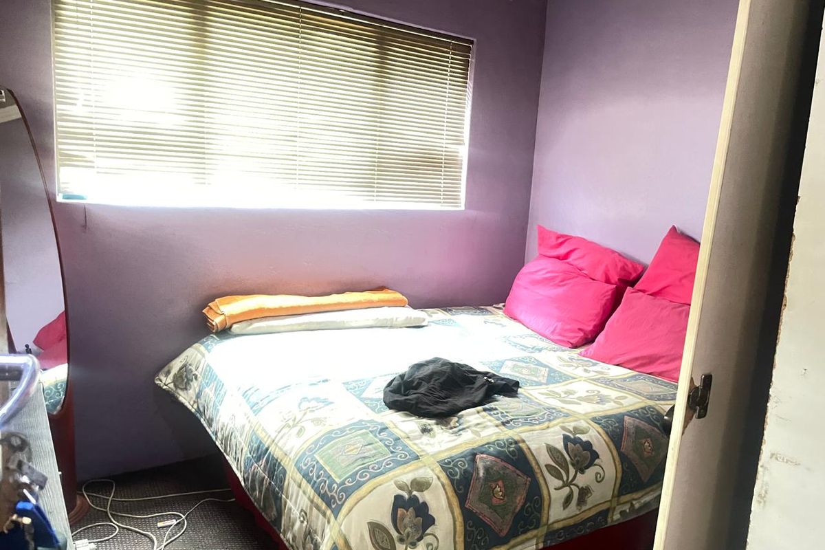 A compact bedroom featuring purple walls, a window with fitted blinds, and carpeted flooring.