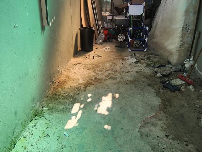 Charming 2-Bedroom Home in Delft Symphony Awaits You! - Photo 8