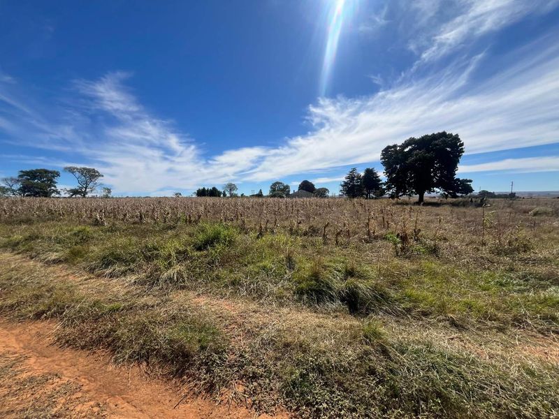 Restore, Cultivate, Live: 52-Hectare Farm Near Bronkhorstspruit! - Photo 4