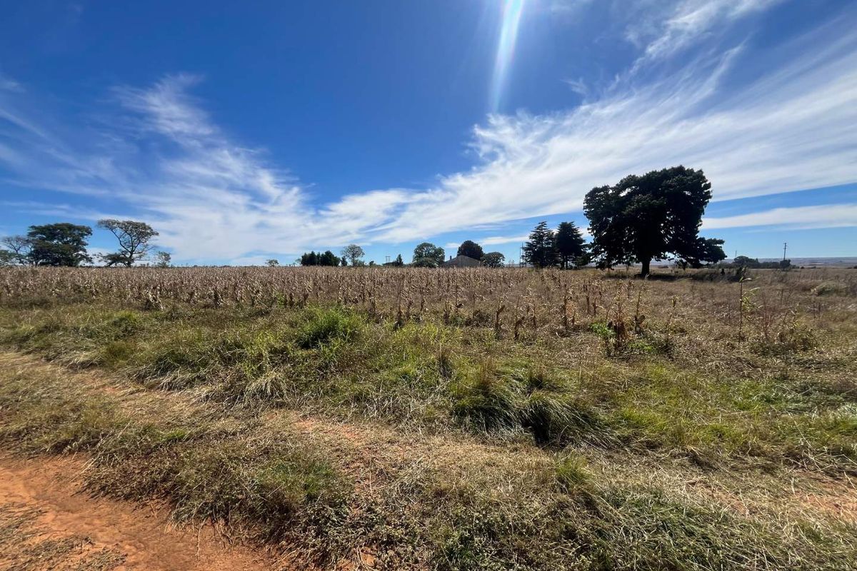 Restore, Cultivate, Live: 52-Hectare Farm Near Bronkhorstspruit! - Photo 4