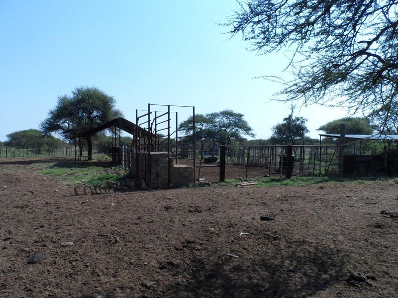 750 HECTARE FARM FOR SALE IN MOOKGOPONG - Photo 3