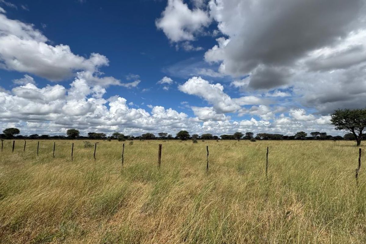 This impressive 4,100-hectare farm, strategically divided into 22 well-equipped camps, offers an exceptional opportunity for serious farming and investment. - Photo 4