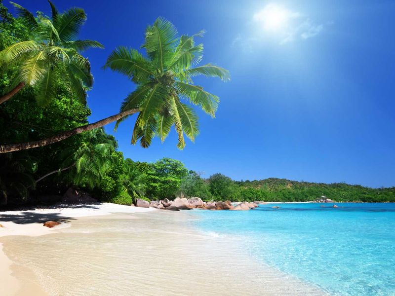 A pristine tropical beach landscape featuring white sand, turquoise waters, and lush palm trees, showcasing the natural beauty of the coastal property location.