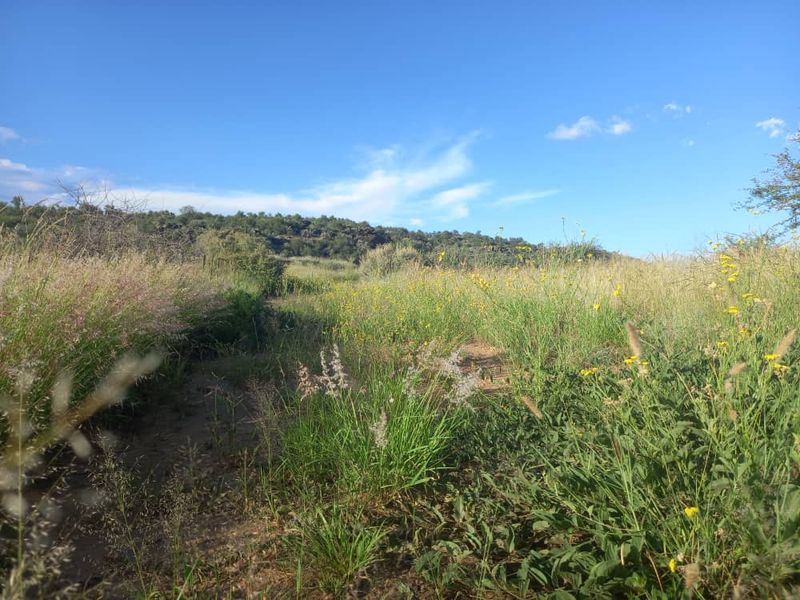 FIRST OF THE GRID MANAGED NATURE ESTATE - NISH LIVING - Photo 6