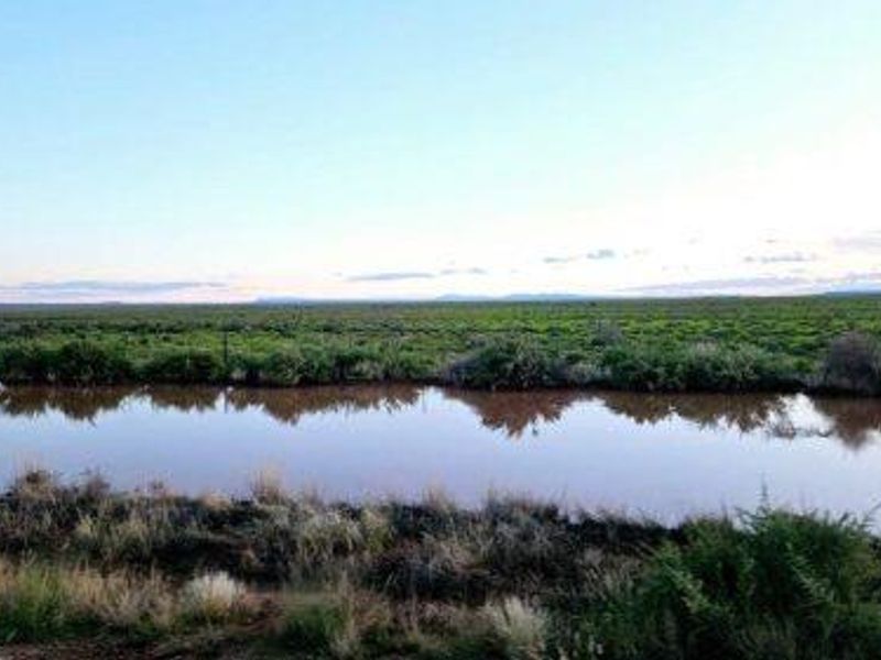 WELL-DEVELOPED LIVESTOCK FARM | KEETMANSHOOP DISTRICT - Photo 9