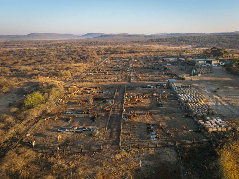 Aerial view of an extensive livestock farming facility featuring multiple cattle pens, feeding infrastructure, and storage areas set within a rural landscape.
