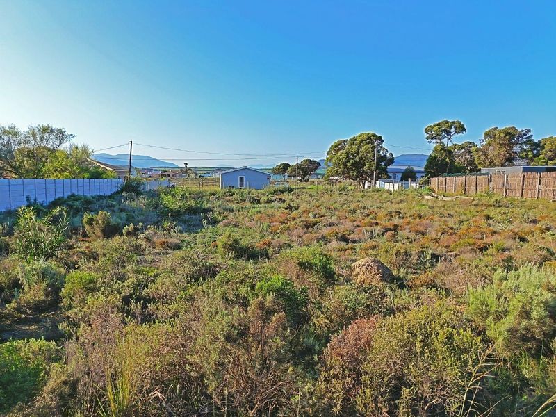 Big Skies,  Big Dreams! - Photo 5