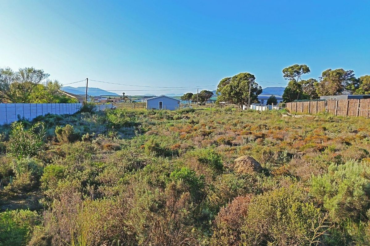 Big Skies,  Big Dreams! - Photo 5