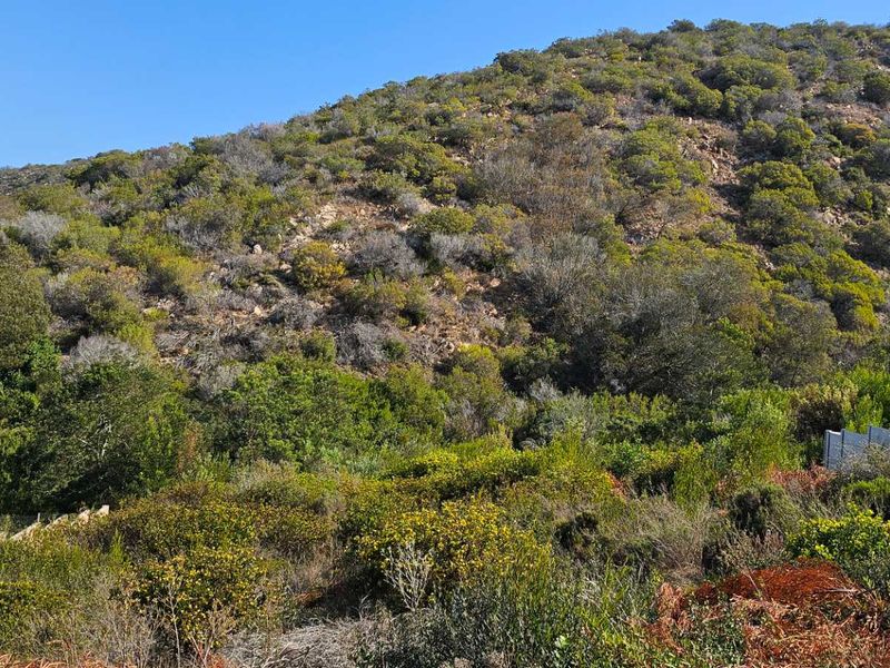 Duet Opportunity Vacant plot for a steal! - Photo 3