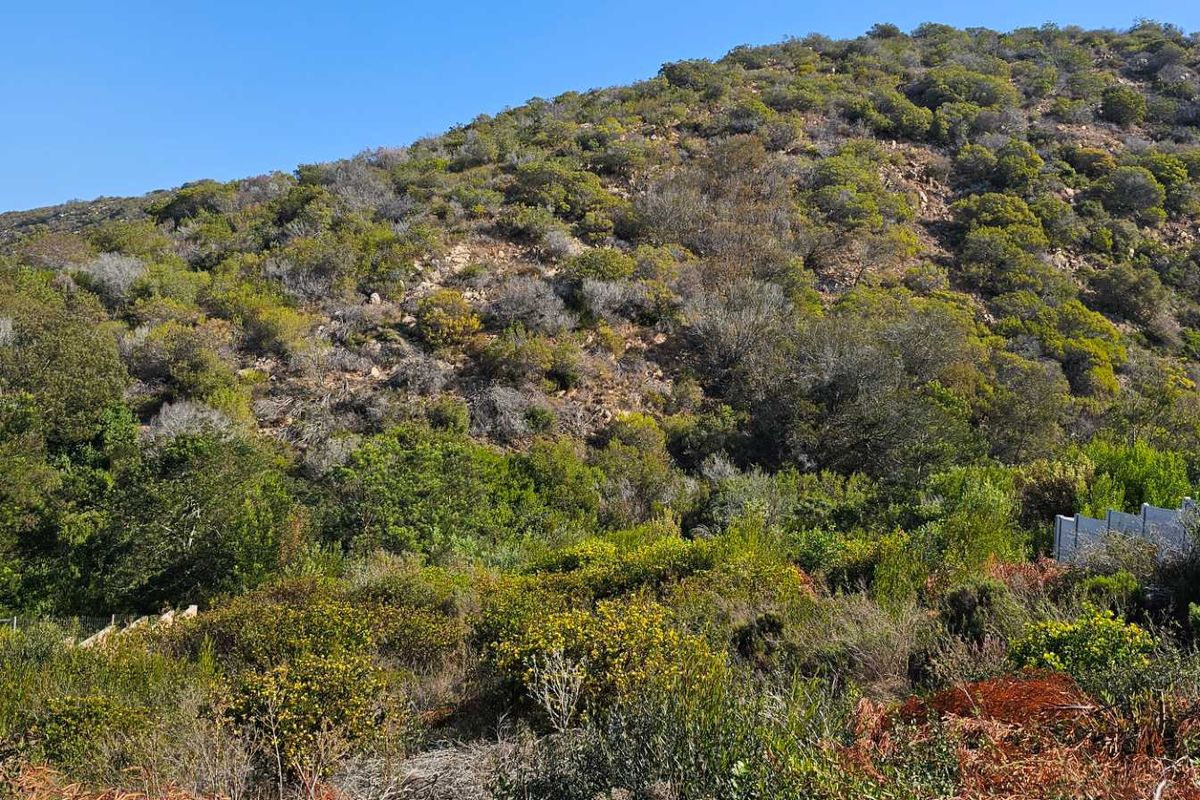 Duet Opportunity Vacant plot for a steal! - Photo 3