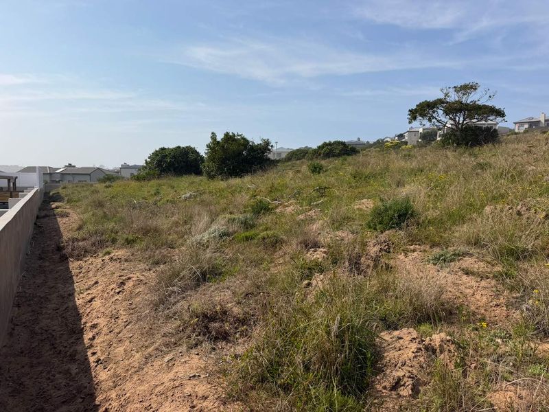 A view of a vacant residential plot featuring natural vegetation and a concrete retaining wall along the boundary.