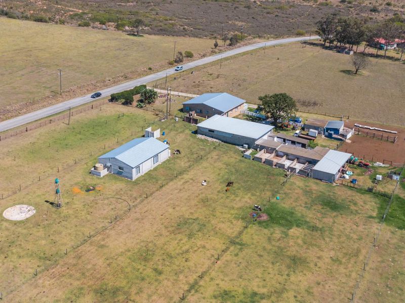 Dairy Farm for Sale, Eastern Cape - Photo 1