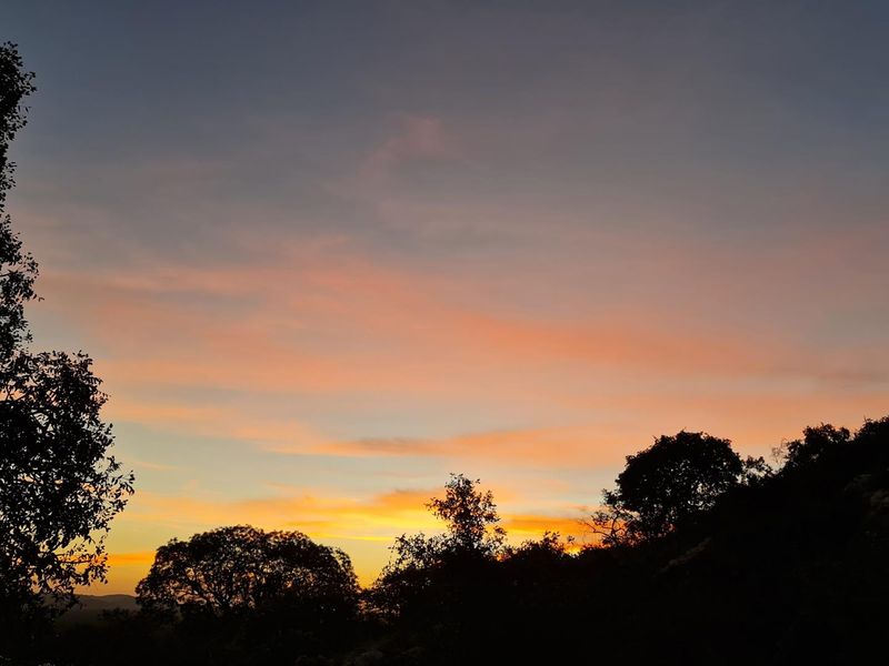 Luxury 6000ha Game Lodge & Stylish Campsite – Prime Tourism  Investment! - Photo 4