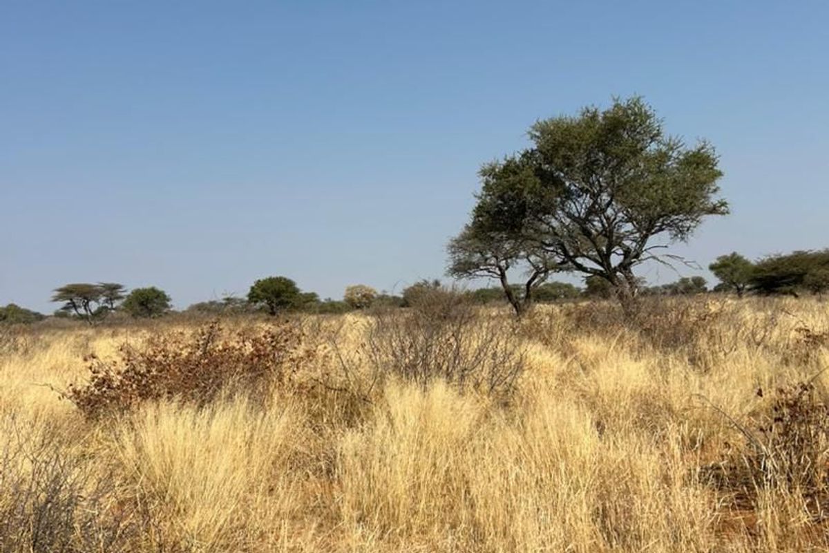 Phase 3 Omuramba Now selling! - Photo 2