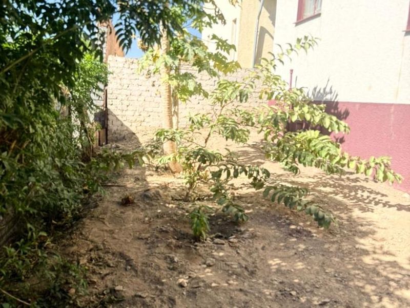 A rear exterior area featuring a masonry boundary wall and unlandscaped ground with established trees.