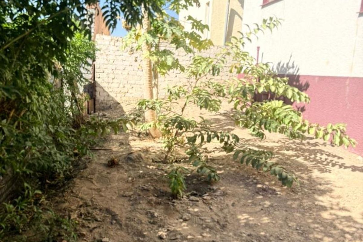 A rear exterior area featuring a masonry boundary wall and unlandscaped ground with established trees.