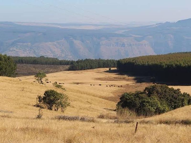 Farms for sale in Vryheid Area - Photo 1