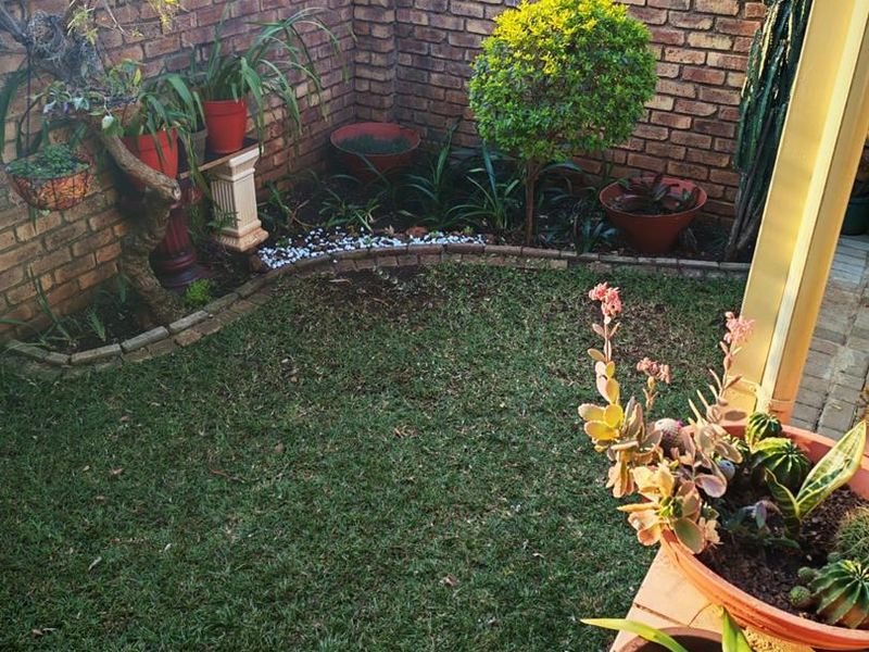 A private rear garden featuring a small lawn, established landscaping, and a brick boundary wall, viewed from a covered patio area.