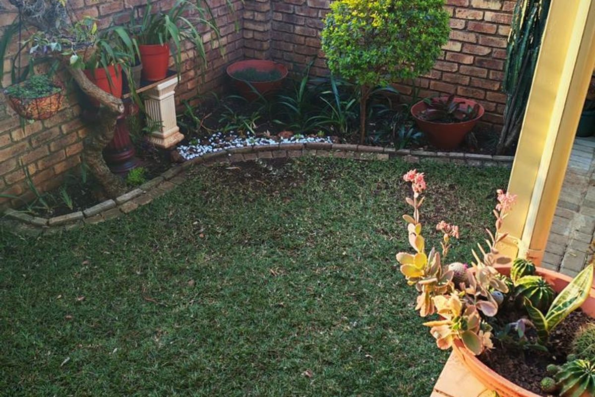 A private rear garden featuring a small lawn, established landscaping, and a brick boundary wall, viewed from a covered patio area.