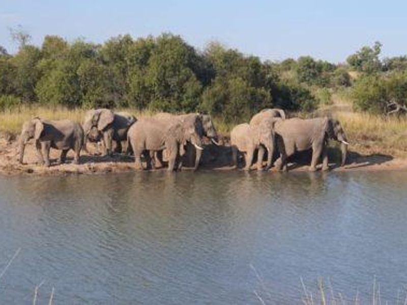 MODJAJI AT MABULA!  BIG FIVE COUNTRY! - Photo 7
