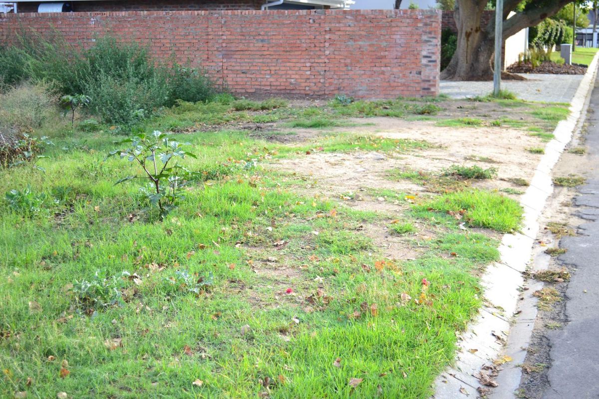 Vacant stand for Sale On The Island Grootbrak Rivier - Photo 2