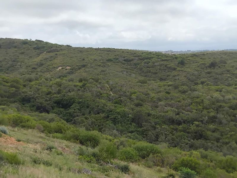 Prime North-Facing Vacant Land in Prestigious Estate** - Photo 7