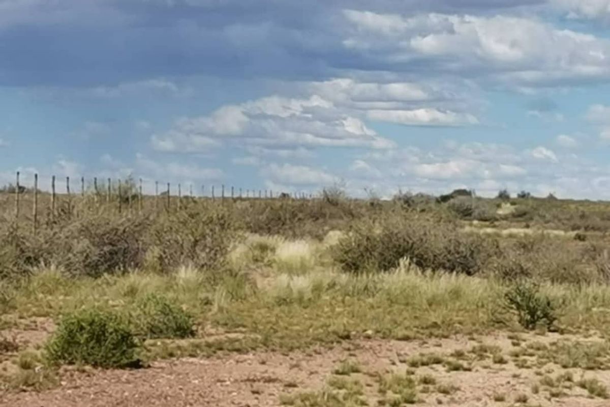 Farm close to Aroab - Photo 4