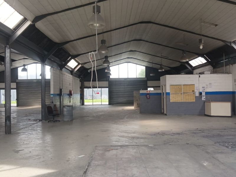 Prime Retail & Showroom Space To Let | 286–462 sqm | South Palms Centre - Photo 3
