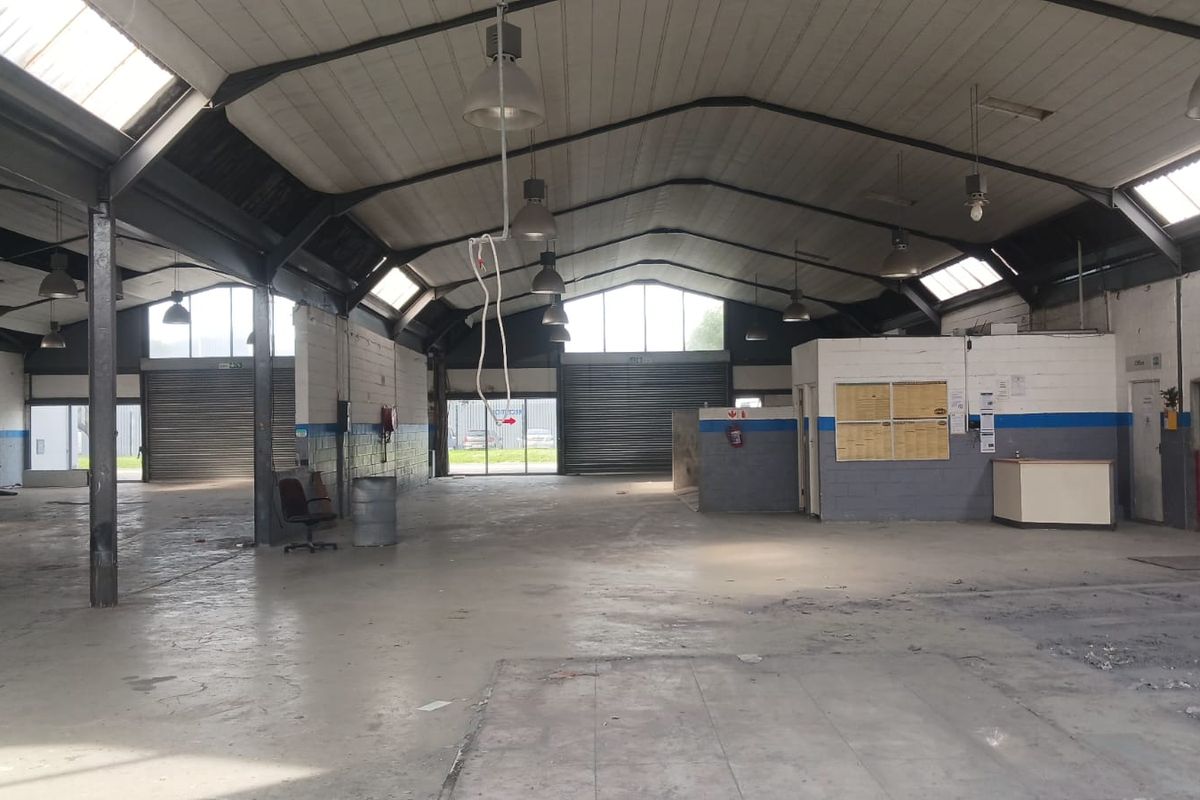 Prime Retail & Showroom Space To Let | 286–462 sqm | South Palms Centre - Photo 3