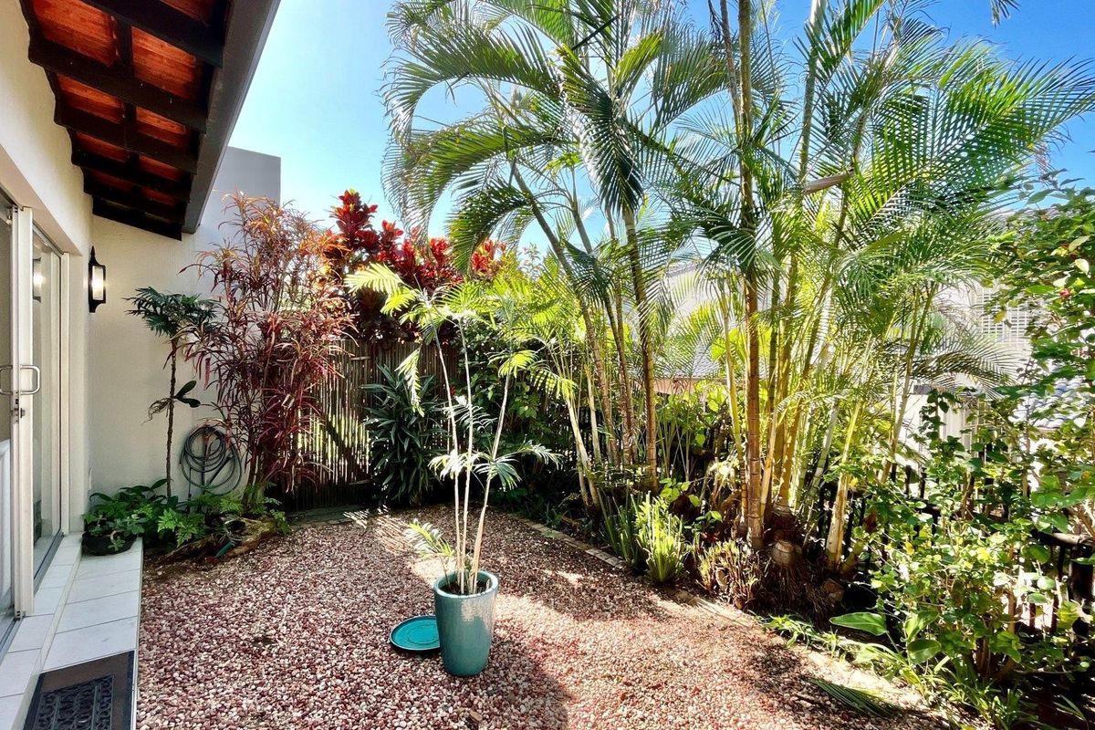 A private rear garden area featuring a gravel surface, established palm trees, bamboo fencing, and direct access to the home via a sliding glass door.