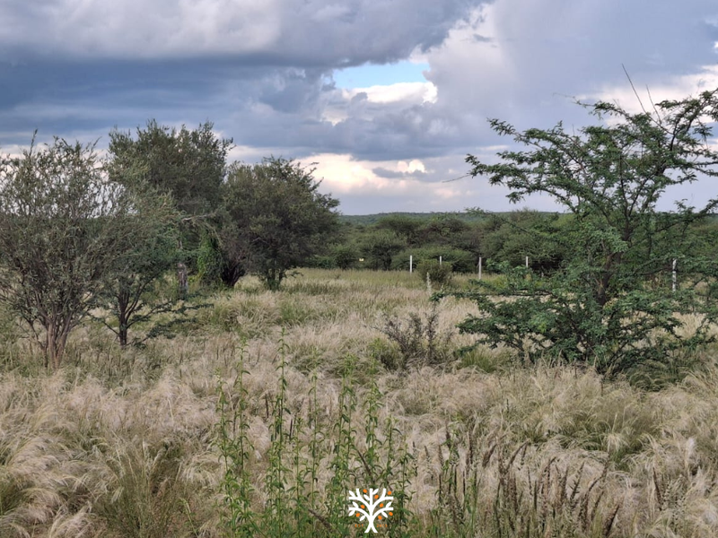 Camelthorn Estate | Vacant Erf with Approved Building Plans - Photo 4